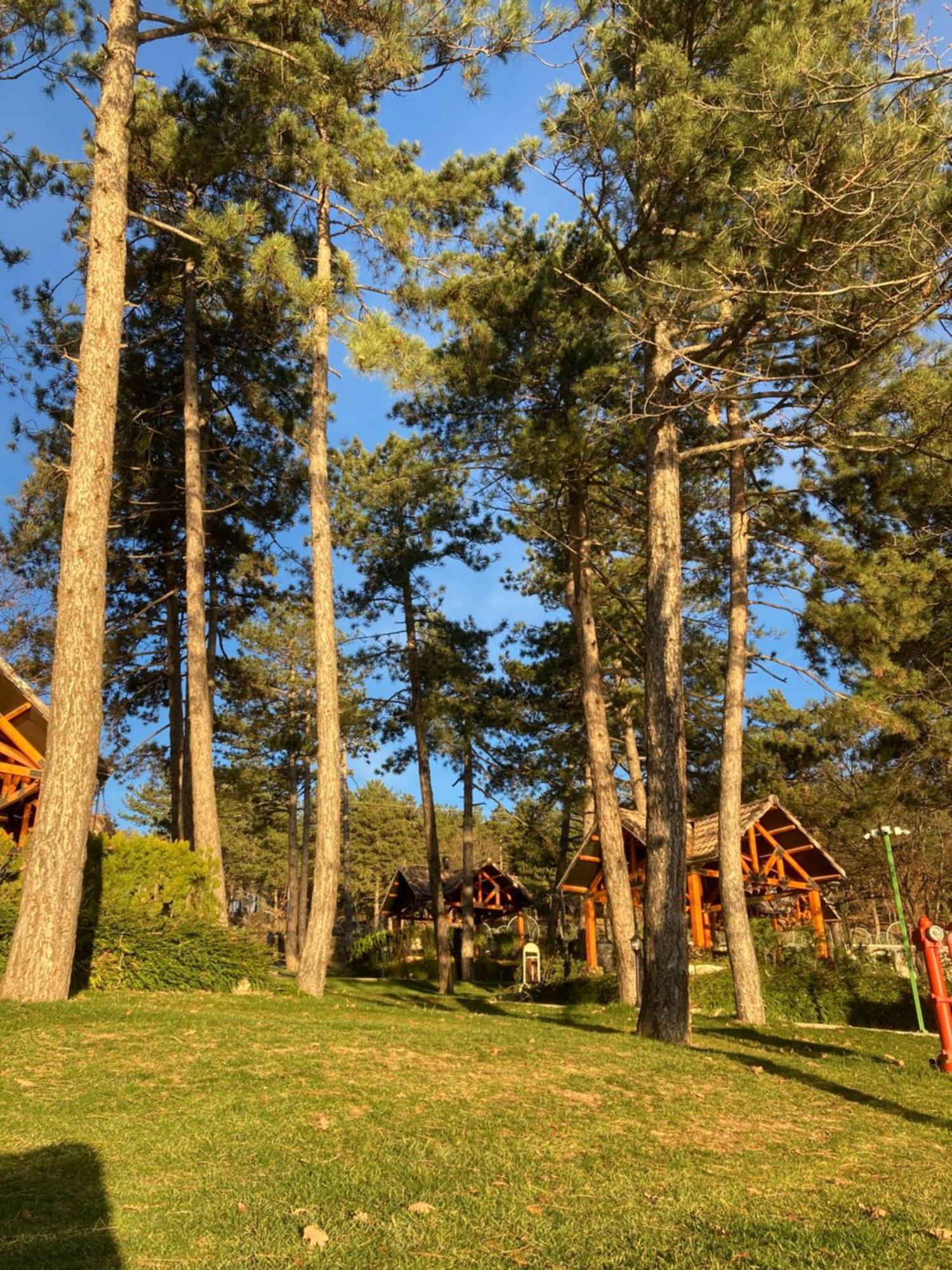 Hotel Nefes Dagyenice Dogada Bursa Exterior foto